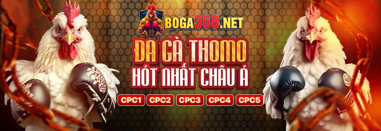 Hoàn trả tiền cược hu8833