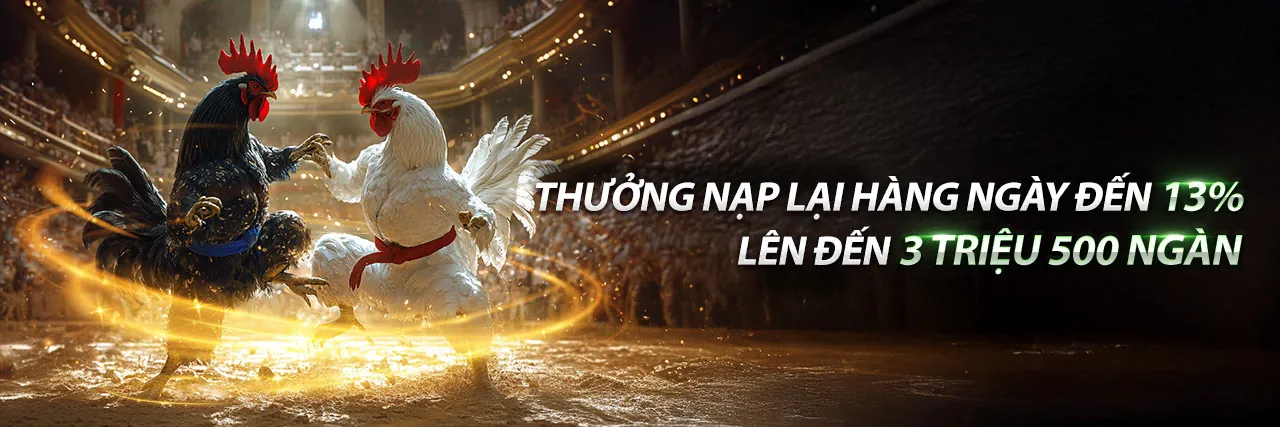 Trực tiếp gà C1 Thomo với những trận đấu kịch tính